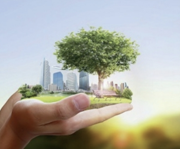 City Farmer logo